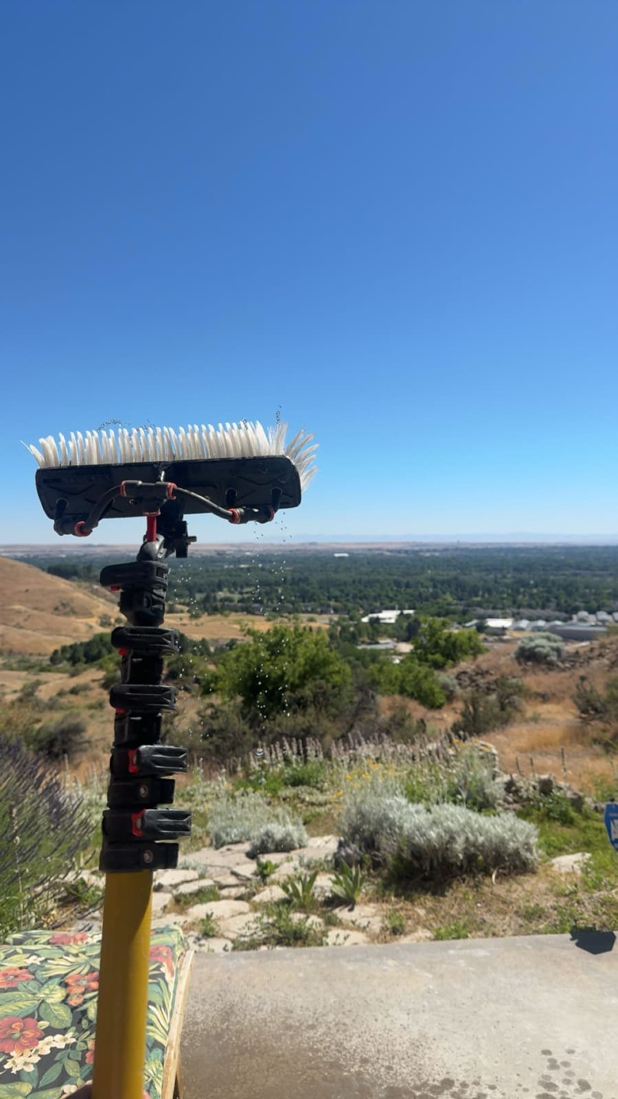 Water-fed pole brush with a view over the Boise foothills