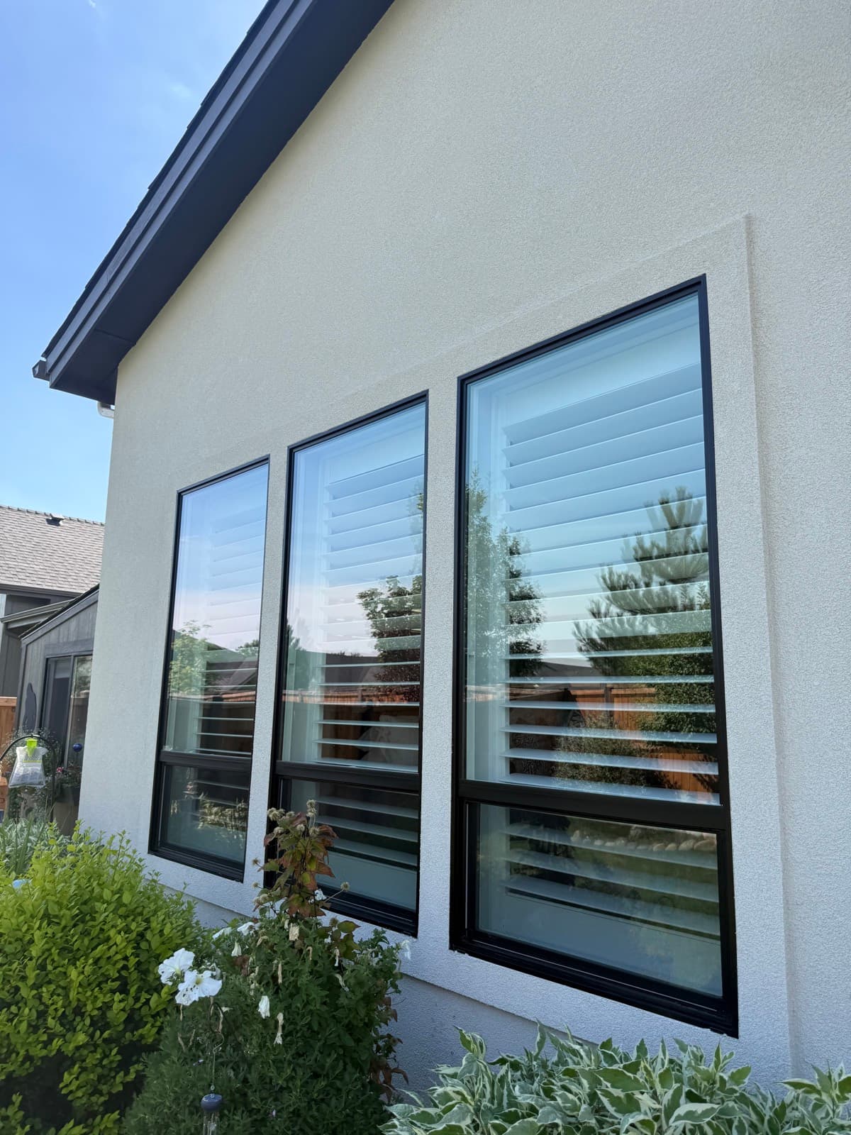 Black-frame windows with interior shutters, cleaned streak-free