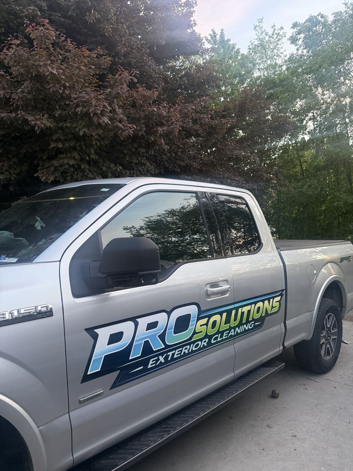 The Pro Solutions wrapped work truck parked at a job site